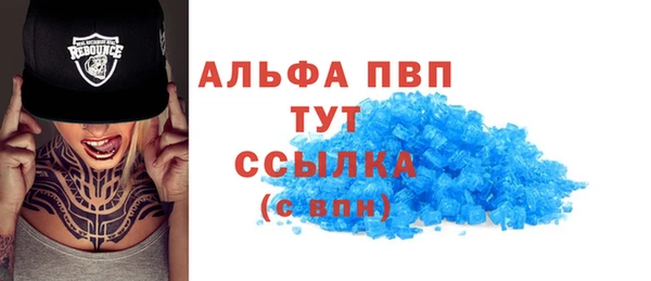 спиды Верея