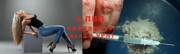 спиды Верея