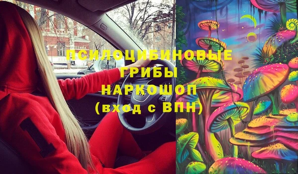 спиды Верея