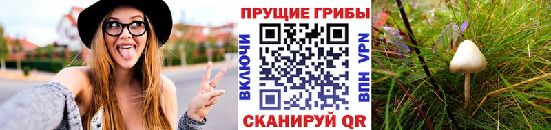Псилоцибиновые грибы прущие грибы  Новочеркасск 